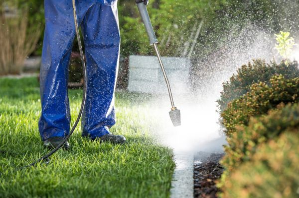 Curb Cleaning in Lenexa