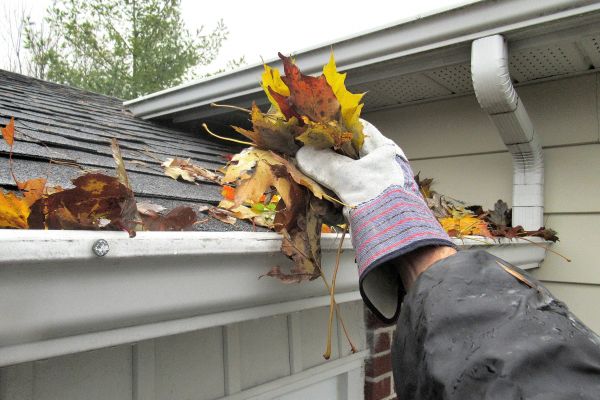Eaves Cleaning in Lenexa