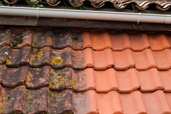 Industrial Roof Cleaning in Lenexa