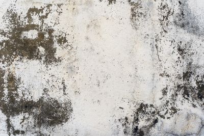 Textured Concrete Sealing